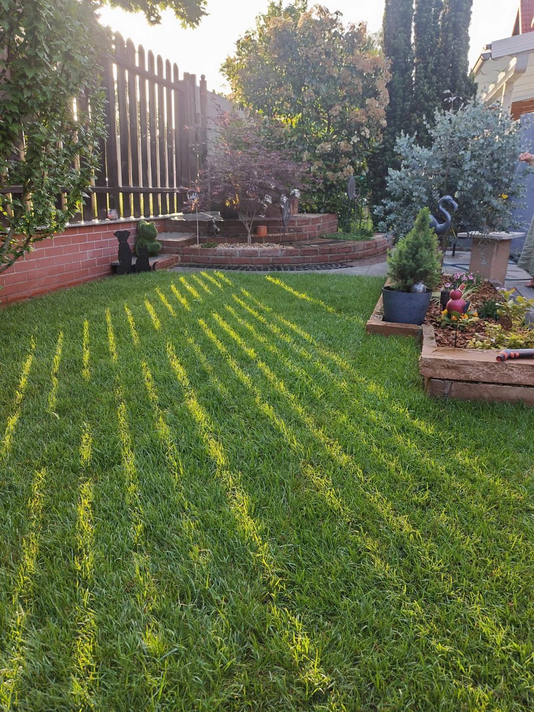 Neu angelegter Rollrasen mit Beeteinfassung im Abendlicht